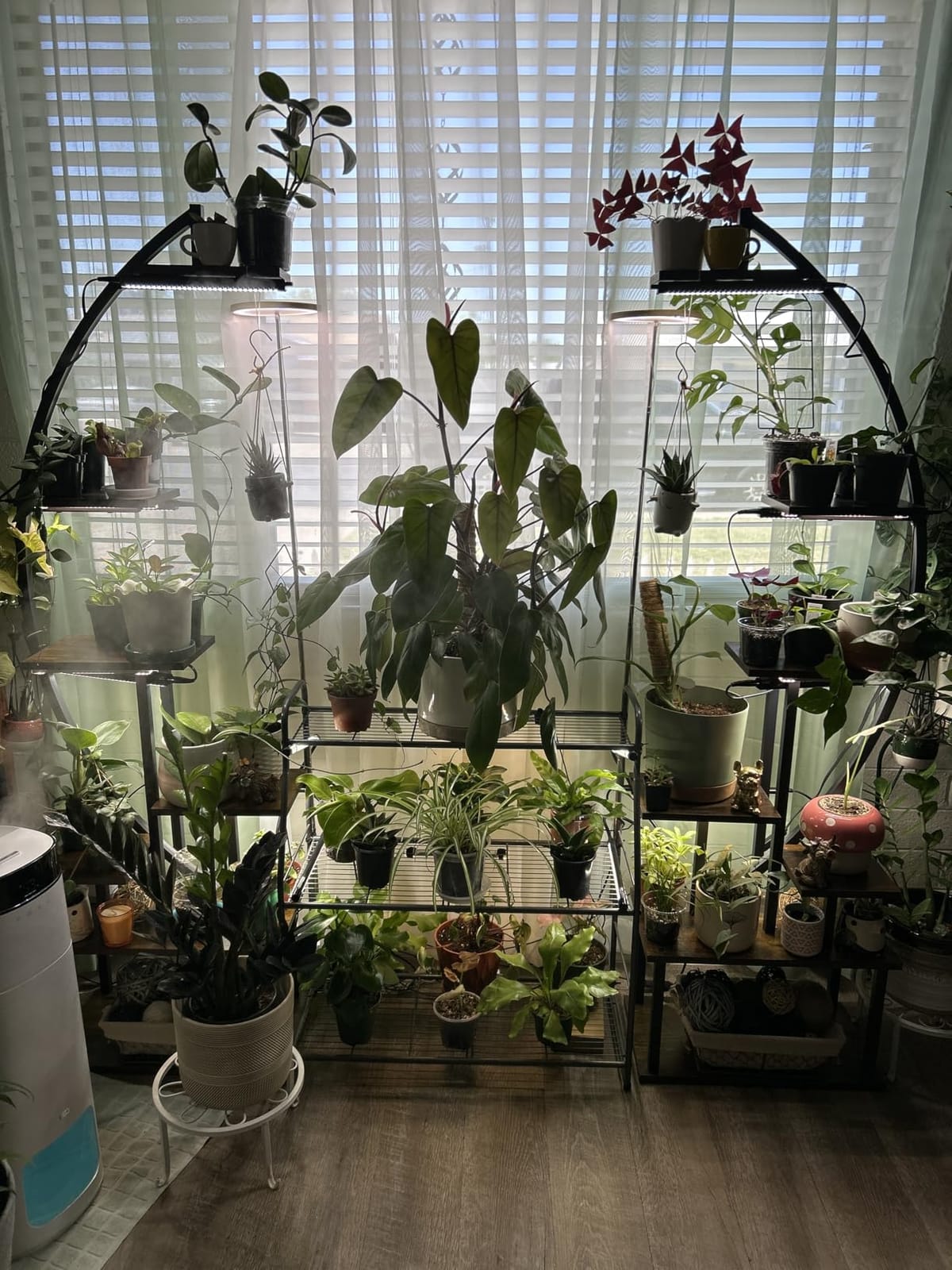 VIVOSUN T5 Grow Lights for Indoor Plants, 5000K Full Spectrum, 1FT customer photo 1